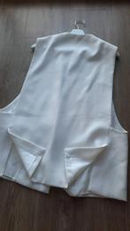 TikTok's Hottest Trend: Zara Vest You Need in Your Closet!XL, Kleding | Dames, Jasjes, Kostuums en Pakken, Maat 46/48 (XL) of groter
