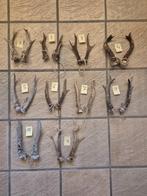 Mooie sets Ree stangen geweien voor kerst decoratie jacht, Verzamelen, Dierenverzamelingen, Ophalen of Verzenden, Zo goed als nieuw