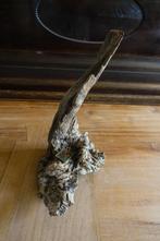 mooie grillige boom stronk voor bijzondere bloemsierkunst, Ophalen of Verzenden, Gebruikt