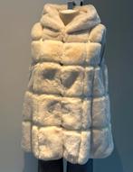 Bodywarmer met capuchon maat 38, Ophalen of Verzenden