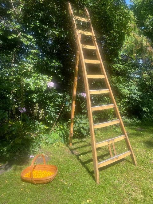 Houten plukladder van Eldik, Doe-het-zelf en Verbouw, Ladders en Trappen, Gebruikt, Ladder, 2 tot 4 meter, Ophalen