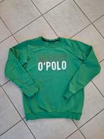 Groene trui 170/176 Marco polo., Ophalen of Verzenden, Zo goed als nieuw, Jongen, Trui of Vest