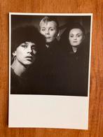 Rineke Dijkstra 1984 / Franks' wild years no. 1, Ophalen of Verzenden, 1980 tot heden, Ongelopen