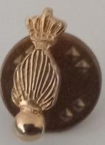 Kmar Koninklijke Marechaussee goudkleurige speld - 14 mm - o, Ophalen, Marechaussee, Nederland, Embleem of Badge