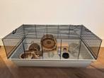 Complete hamsterkooi met (bijna) alle toebehoren, Dieren en Toebehoren, Kooi, Zo goed als nieuw, Hamster, 75 tot 110 cm