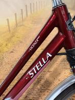 Stella Vicenza Elektrische fiets met voorwiel motor ebike!, Overige merken, Ophalen of Verzenden, Zo goed als nieuw, Stella