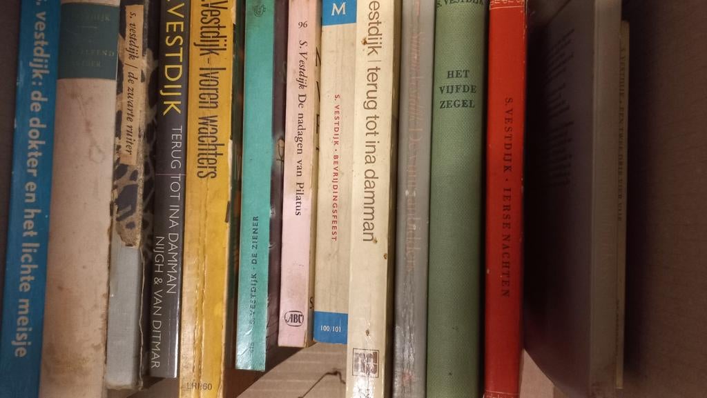 Simon Vestdijk, Boeken, Literatuur, Ophalen of Verzenden, Gelezen, Simon Vestdijk