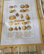 BORDUURPAKKET PERMIN OF COPENHAGEN SCHELPEN, Verzenden, Zo goed als nieuw, Handborduren, Borduurpakket