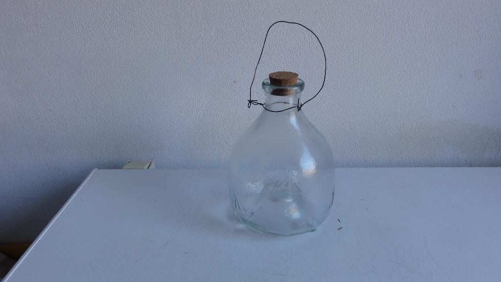 Wespenpot, wespenvanger, wespenfles, zgan, Antiek en Kunst, Ophalen of Verzenden