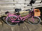 Zeer nette Alpina Cargo meisjesfiets roze 20 inch, Ophalen, Gebruikt, 20 inch, Handrem