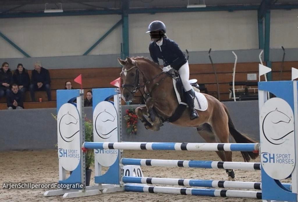 Lieve en betrouwbare d-pony, Dieren en Toebehoren, Pony's, Ruin, Springpony, L, 11 jaar of ouder