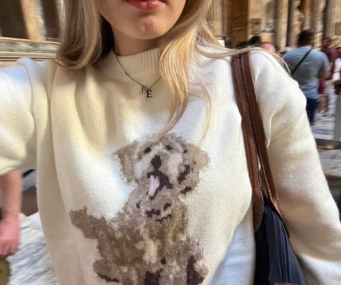 Shein trui met hondenprint, maat S, beige/crème, Verzenden, Gedragen, Maat 36 (S), Beige