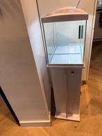 Aquarium met tafel, Ophalen, Zo goed als nieuw, Leeg aquarium