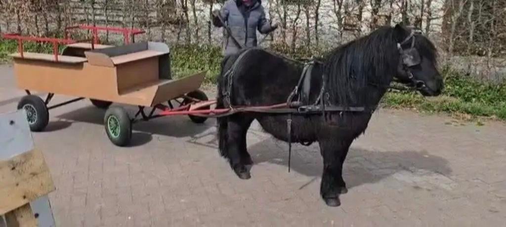Kar voor shet of A pony, Ophalen of Verzenden