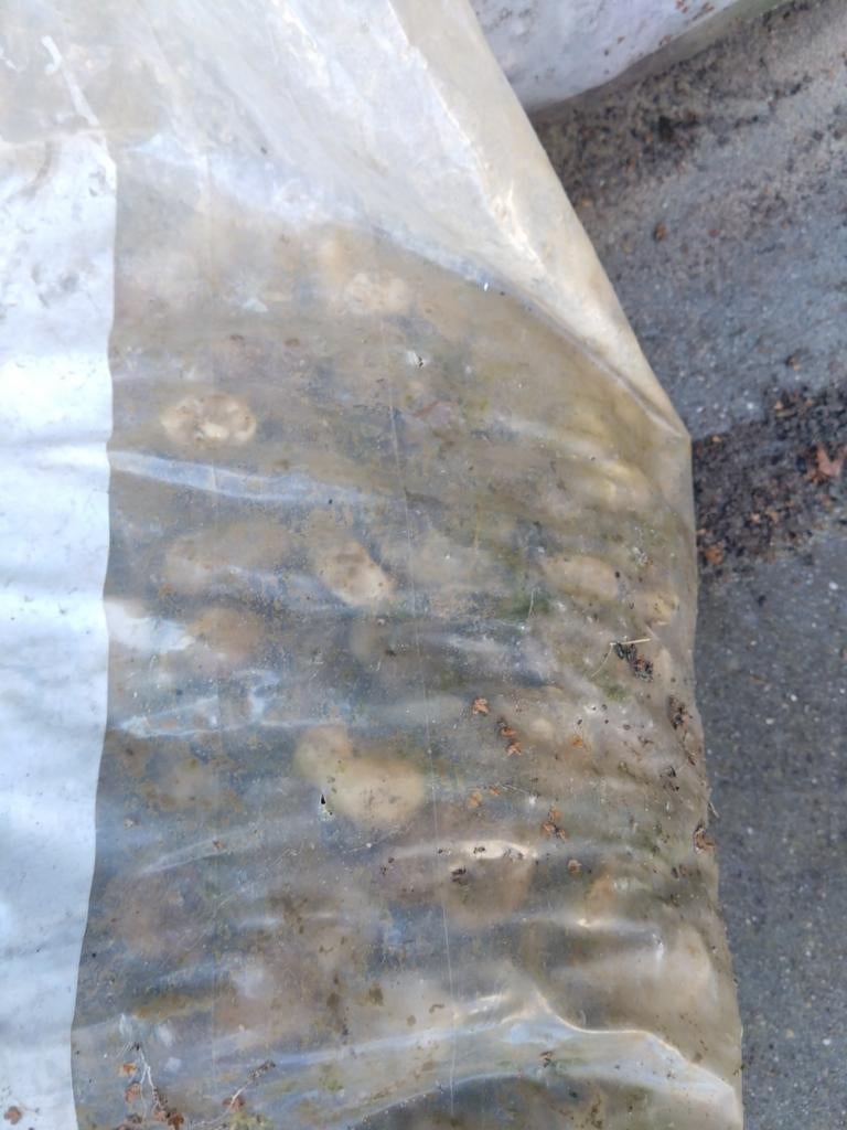 Gratis grind en fijn zand, Tuin en Terras, Ophalen