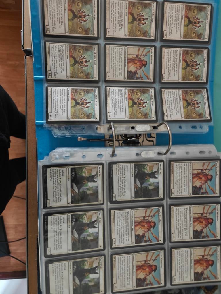 Spel map met al common, Hobby en Vrije tijd, Ophalen of Verzenden