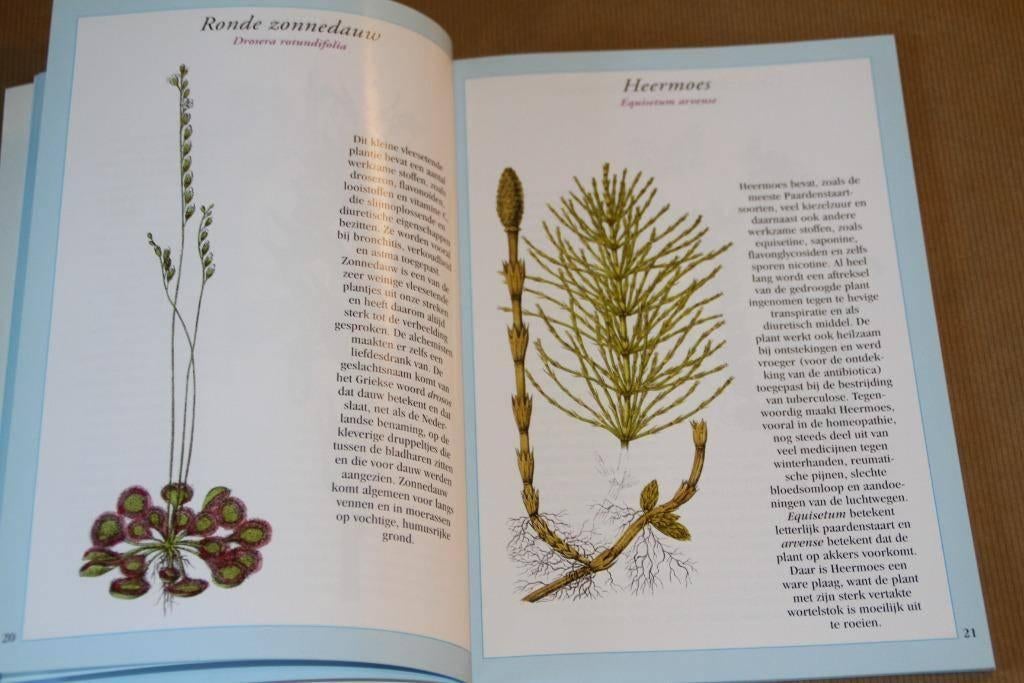 Traditionele geneeskruiden, Boeken, Ophalen of Verzenden, Zo goed als nieuw