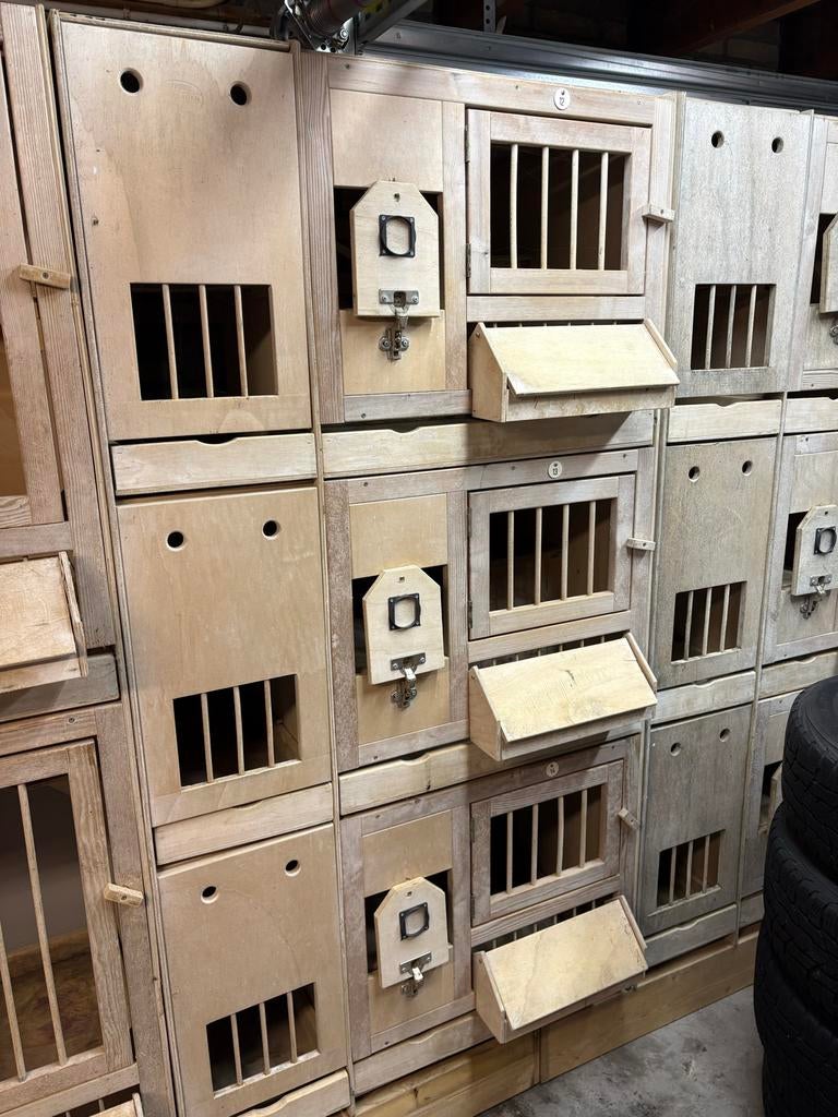 Kipshagen Duiven Kweekbakken, Dieren en Toebehoren, Vogels | Duiven, Meerdere dieren, Postduif