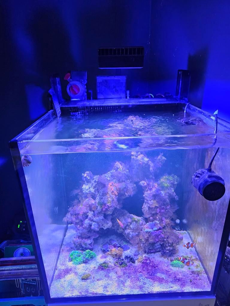 Red sea nano g2 xl 125 liter, Dieren en Toebehoren, Vissen | Aquaria en Toebehoren, Ophalen, Leeg aquarium
