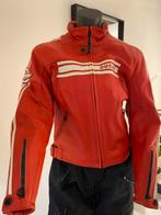 Ducati rood leren damesjas Ita 44 = NL 38/40, Motoren, Kleding | Motorkleding, Ophalen of Verzenden, Tweedehands, Dames, Jas | leer