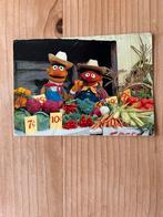 ANSICHTKAART ERNIE EN BERT, Verzamelen, Ophalen of Verzenden, 1980 tot heden