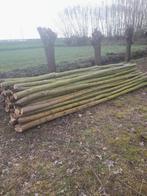 Wilgen palen, Tuin en Terras, Ophalen, Nieuw, 250 cm of meer, Palen