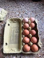 Kakelverse scharrel eieren te koop,  10 in een doos, Diversen, Levensmiddelen, Ophalen