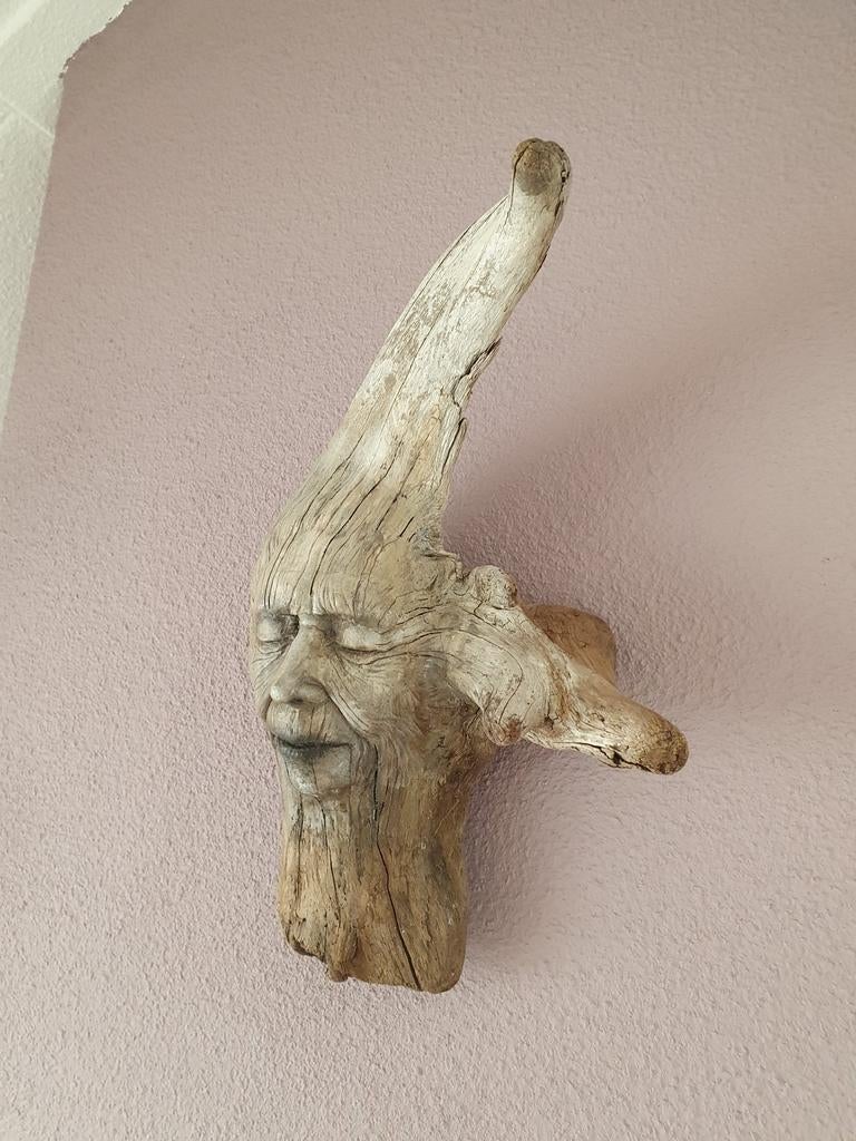 O.o.a.k. Artdoll Shaping spirit kunstobject wandsculptuur, Ophalen of Verzenden, Zo goed als nieuw, Pop