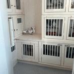 Rafeno, Dieren en Toebehoren, Mannelijk, Kropper