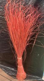 Green siergras 160 cm hoog met papieren kegelstandaard, Ophalen, Onbekend, Nieuw, Onbekend