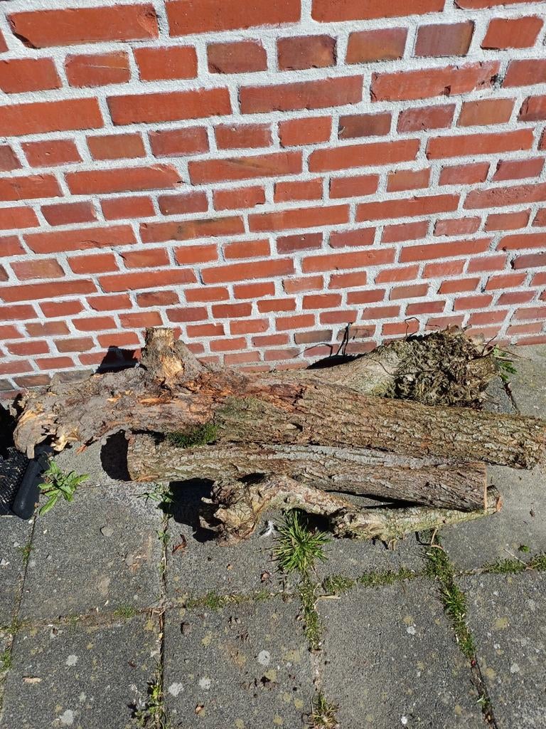 Gratis haardhout., Tuin en Terras, Haardhout, Minder dan 3 m³, Ophalen