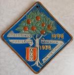 Antiek tegel regeerings jubileum koningin wilhelmina, Ophalen of Verzenden, Gebruikt, Nederland, Overige typen