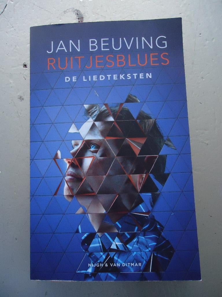 Ruitjesblues De liedteksten, Ophalen of Verzenden, Zo goed als nieuw, Artiest, Jan beuving