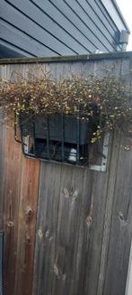 Ruifje met planten, Ophalen, Minder dan 250 cm