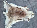 Noorse rendierhuiden in mooie staat, Ophalen, Zo goed als nieuw