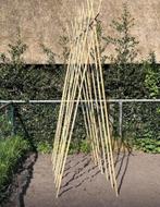 Bonenstokken bamboe tonkin moestuin plantensteun groentetuin