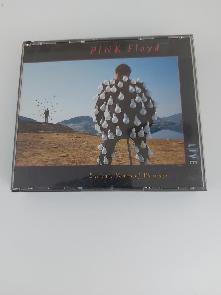 Pink Floyd - Delicate Sound of Thunder (Dubbel CD), Cd's en Dvd's, Cd's | Pop, Ophalen of Verzenden, 1980 - 1989, Zo goed als nieuw