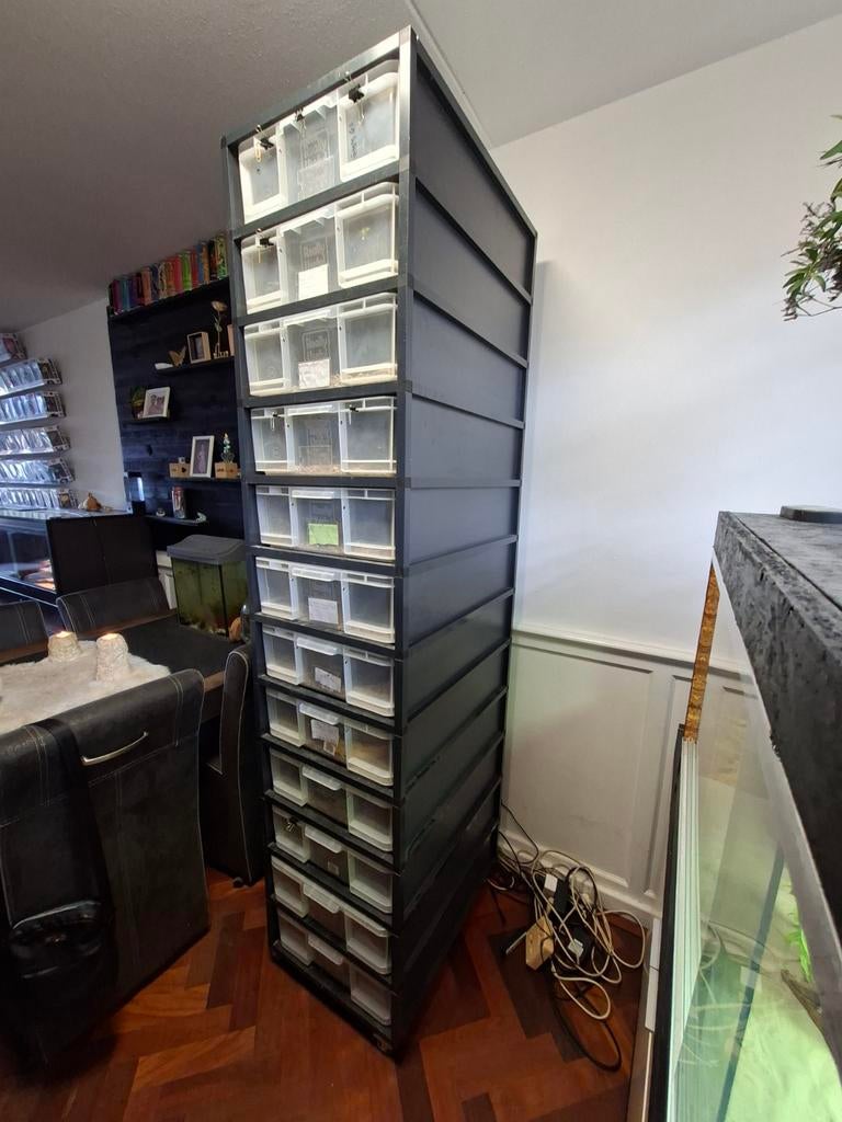 Mooi groot slangenrack te koop., Dieren en Toebehoren, Reptielen en Amfibieën | Toebehoren, Gebruikt, Overige typen, Ophalen