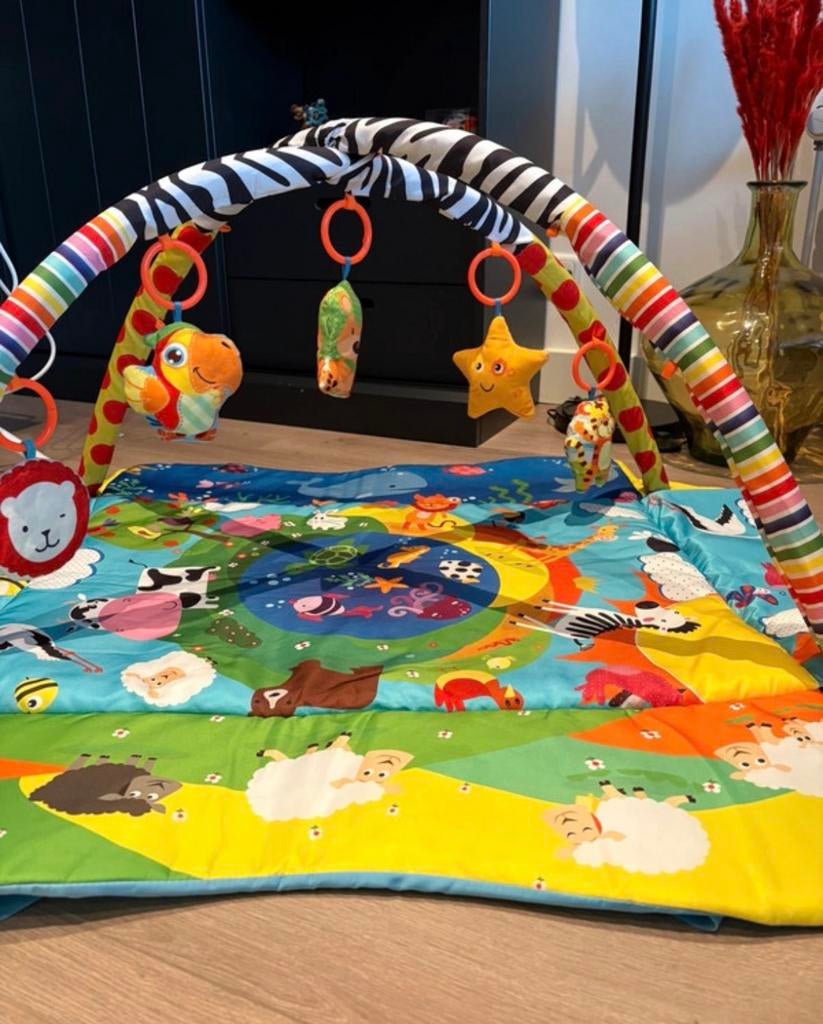 Speelkleed Lionelo Anika Plus, Kinderen en Baby's, Ophalen, Gebruikt