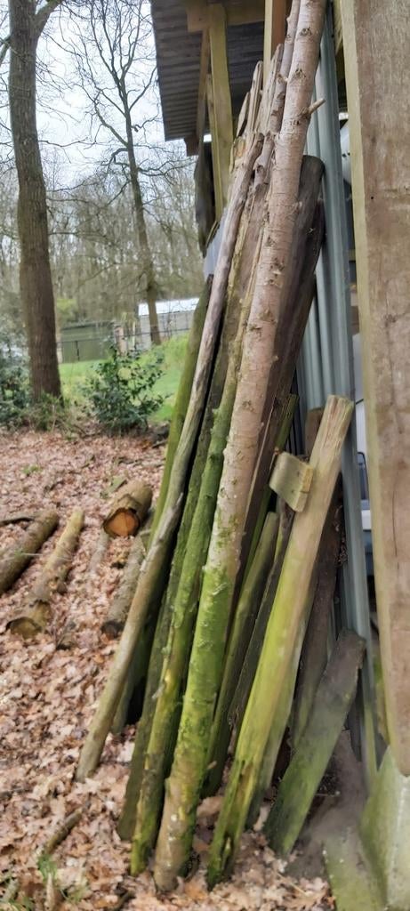 Gratis stookhout,  brandhout, hout, Tuin en Terras, Ophalen, Tuinaarde