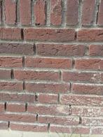 Wienerberger Marowijne Rood gevelsteen, Ophalen of Verzenden, Nieuw, Bakstenen