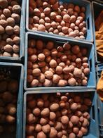 Bildtstar aardappelen, Diversen, Ophalen