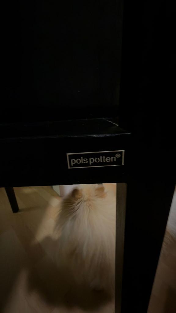 Pols Potten Prestatie Kast - Mat Zwart Hardhout, Ophalen