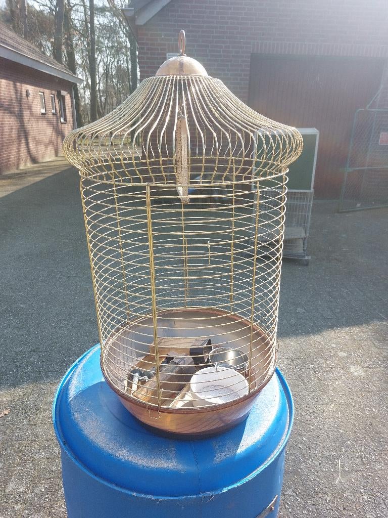 Vogelkooi, Dieren en Toebehoren, Vogels | Hokken en Kooien, Ophalen, Zo goed als nieuw, Metaal, Vogelkooi