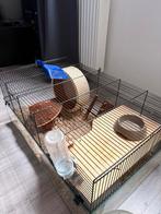Hamster met complete kooi en toebehoren, Ophalen, Zo goed als nieuw, Loopwiel of Rad