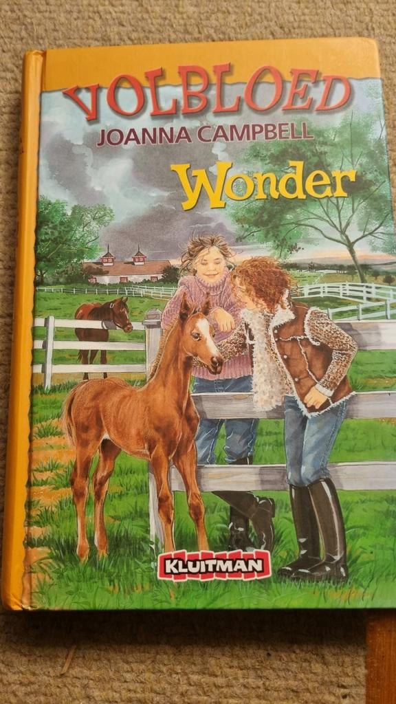 Joanna Campbell - Wonder, Ophalen of Verzenden, Zo goed als nieuw, Fictie, Joanna Campbell