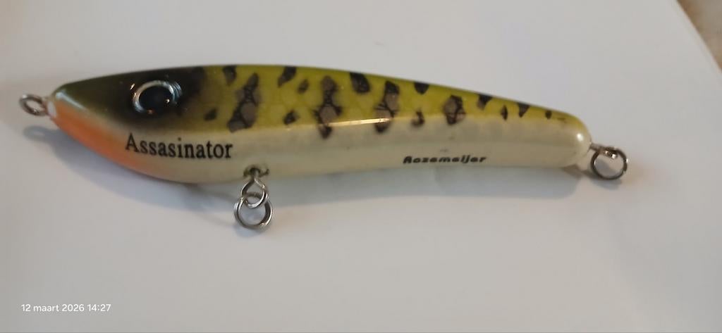 Tekoop Gevraagd Rozemeijer Assasinator, Ophalen of Verzenden, Overige typen