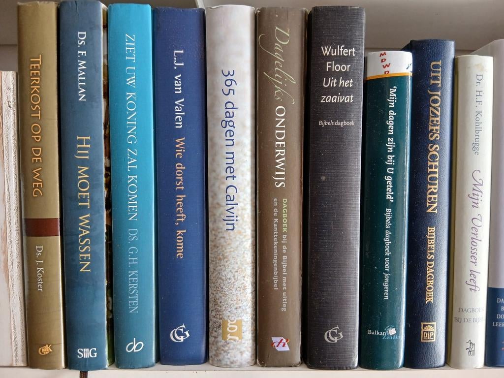 Bijbelse dagboeken, Ophalen of Verzenden, Zo goed als nieuw