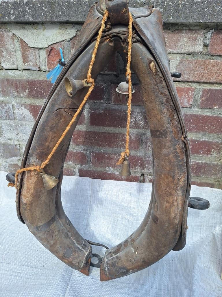 Paardenhaam, Ophalen, Overige soorten