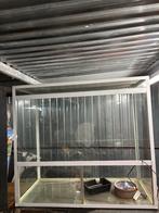 Terrarium 90-90-60cm, Dieren en Toebehoren, Reptielen en Amfibieën | Toebehoren, Ophalen, Gebruikt, Terrarium of Paludarium